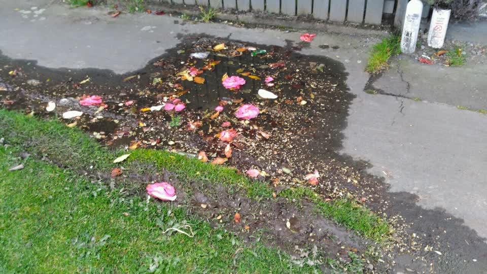 The photograph attached to this water supply report