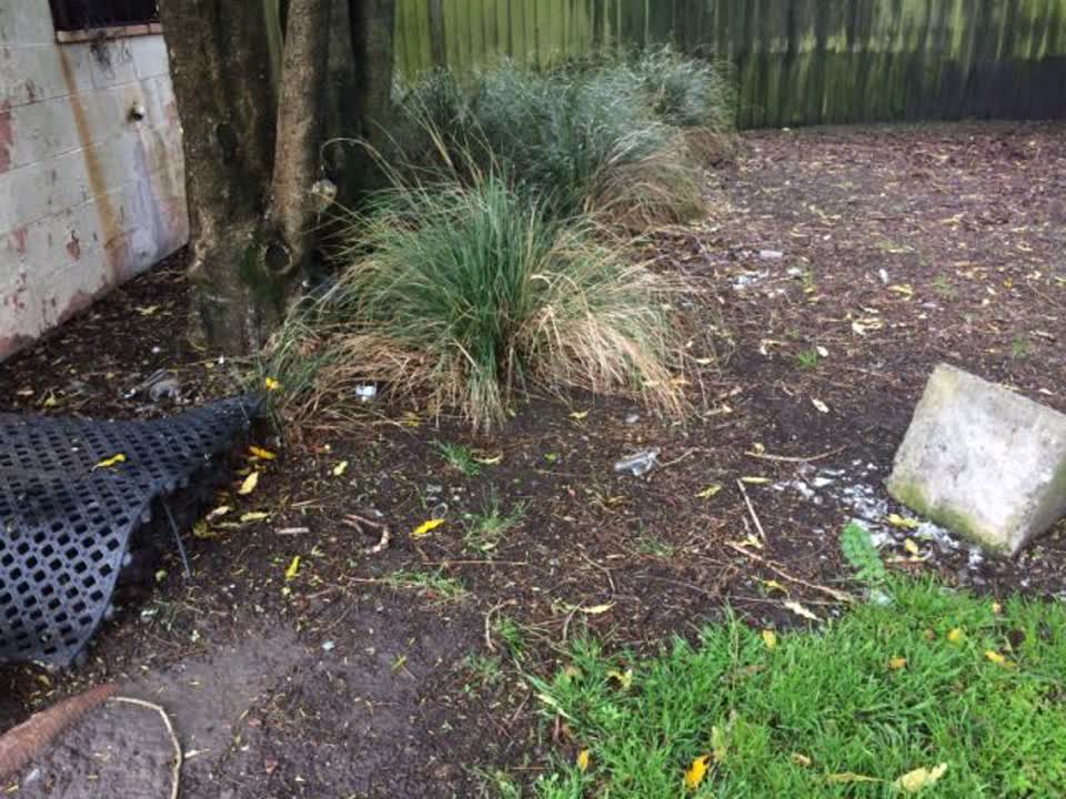 The photograph attached to this parks report