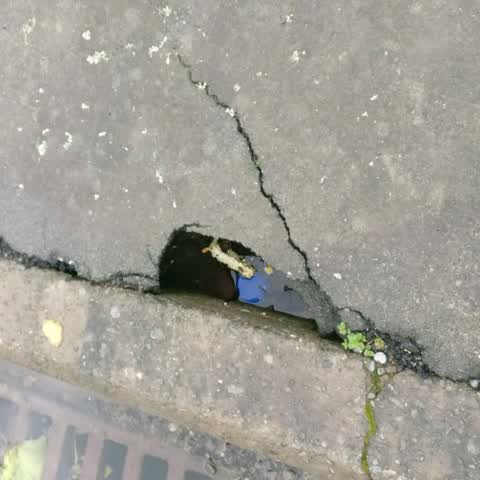 Roading/Streets, a report photo