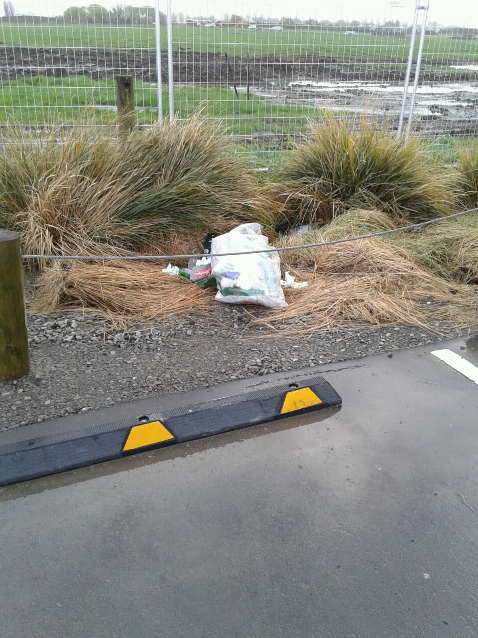 The photograph attached to this parks report