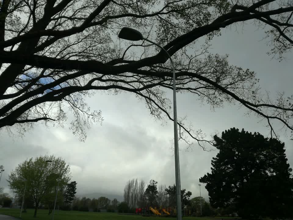 The photograph attached to this parks report