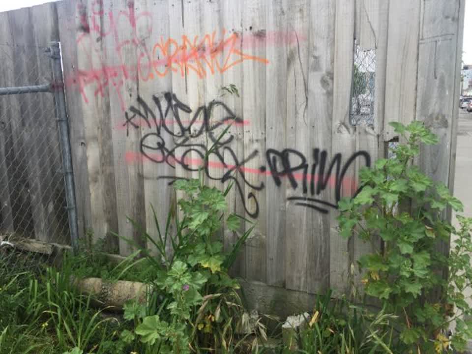 The photograph attached to this graffiti report