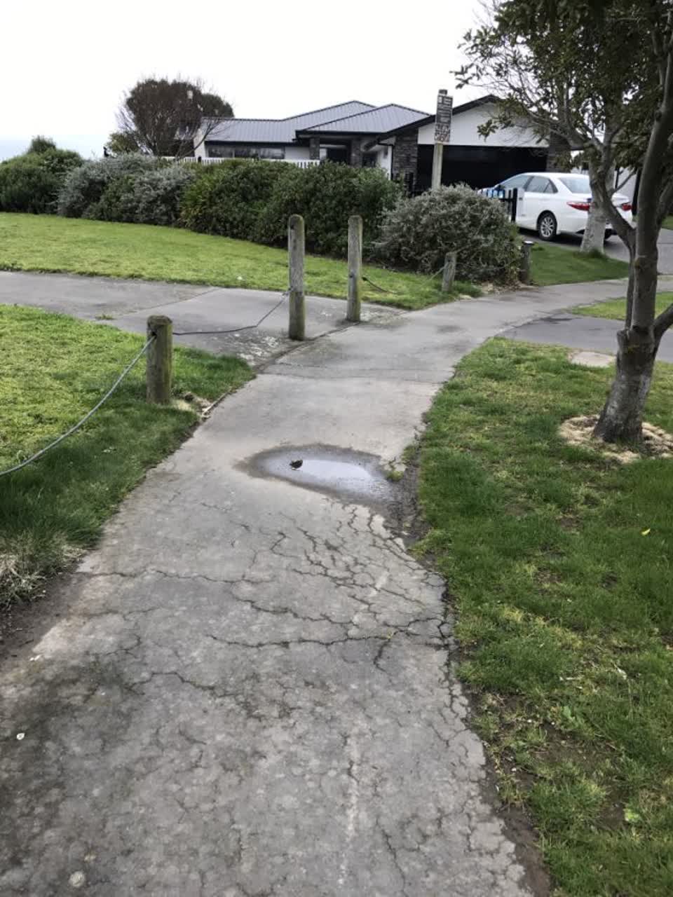 The photograph attached to this roading/streets report