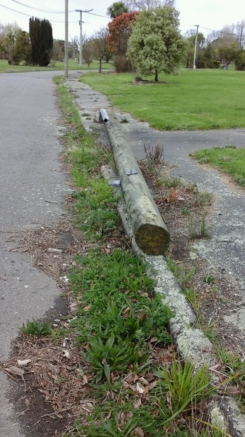 The photograph attached to this roading/streets report