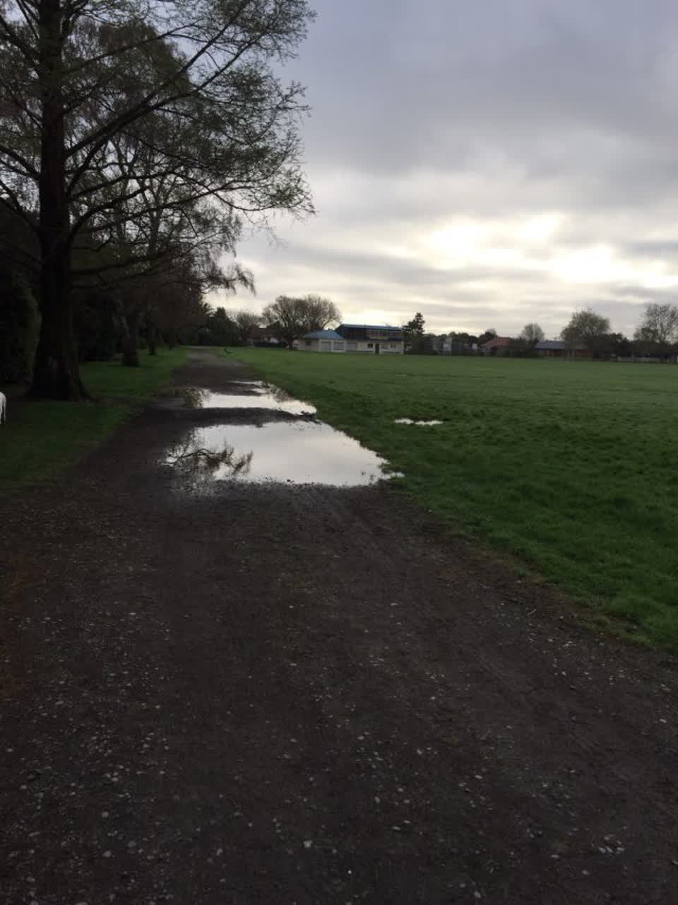 The photograph attached to this parks report