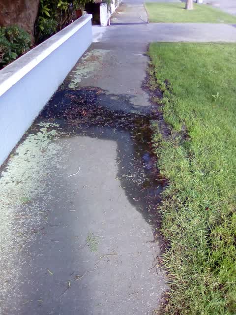 Water Supply, a report photo