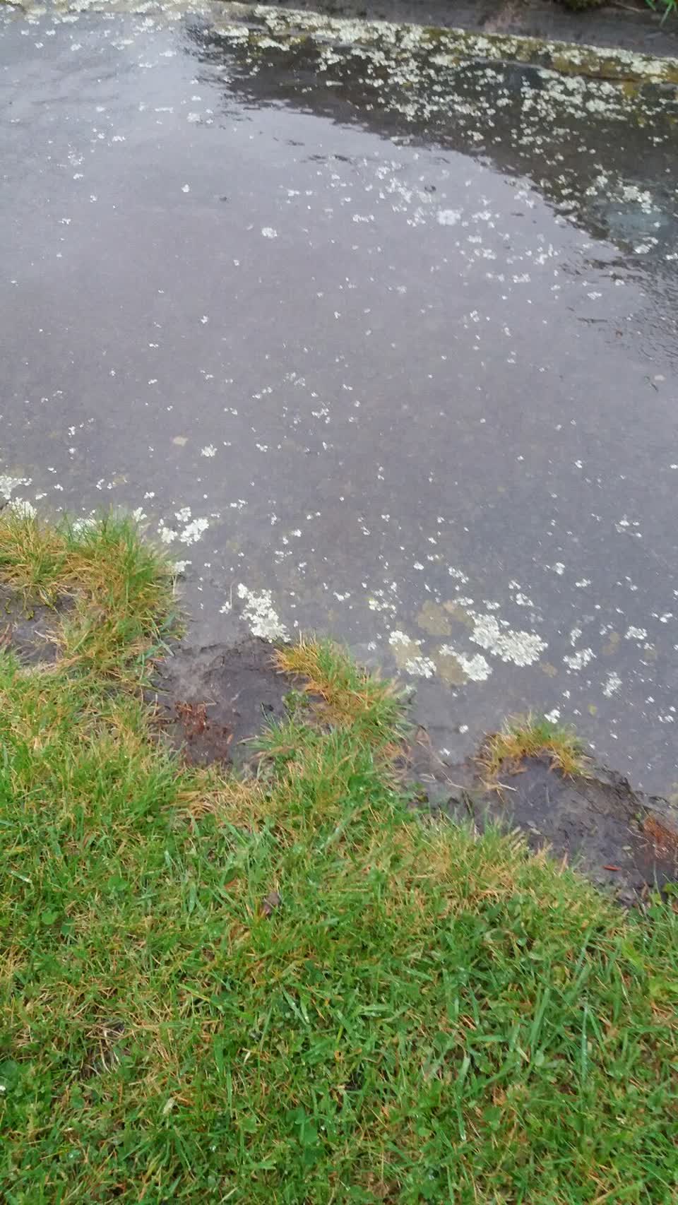 The photograph attached to this water supply report