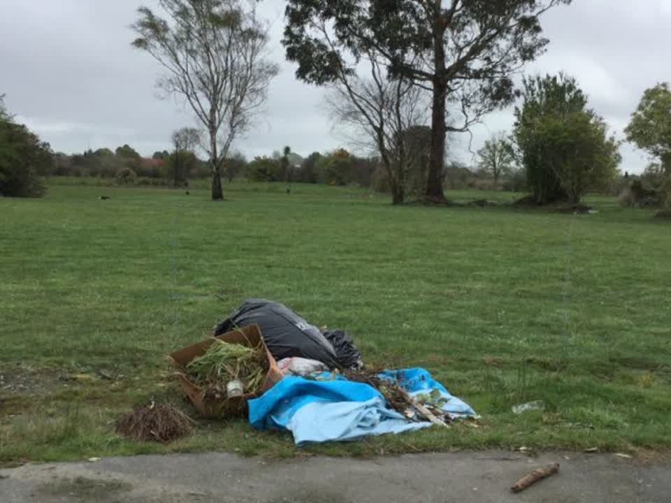 The photograph attached to this rubbish/recycling report