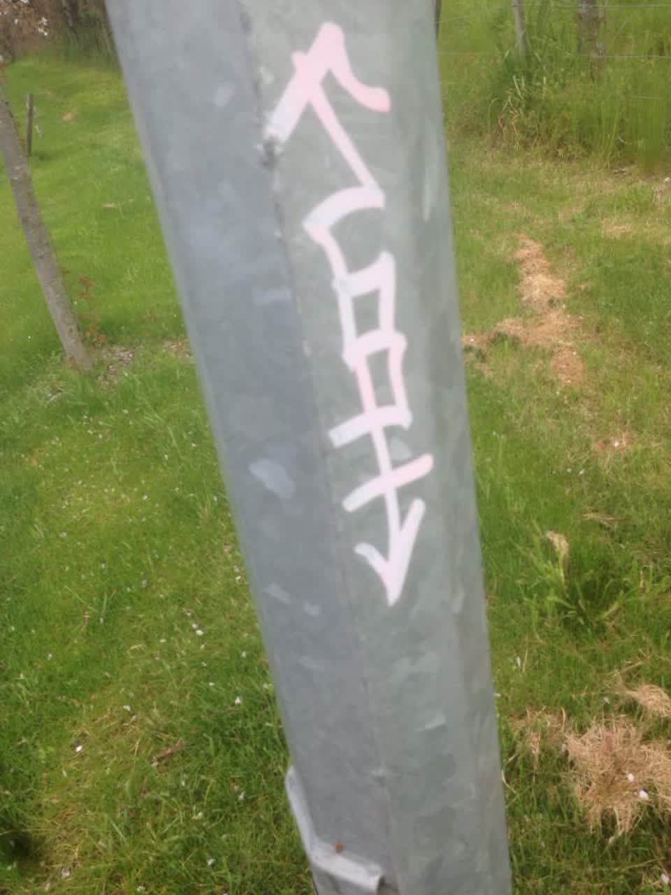 The photograph attached to this graffiti report