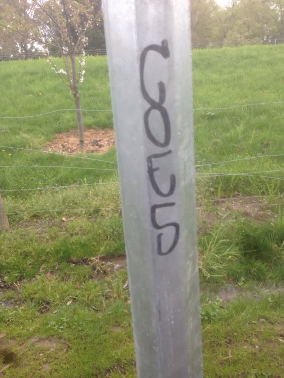 The photograph attached to this graffiti report