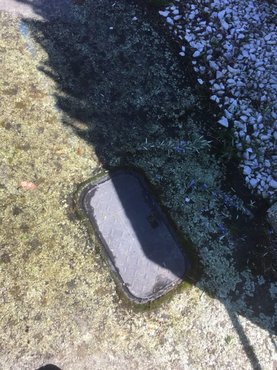 The photograph attached to this water supply report
