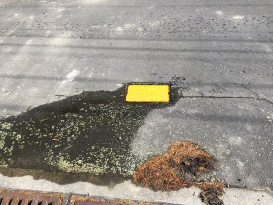 The photograph attached to this water supply report