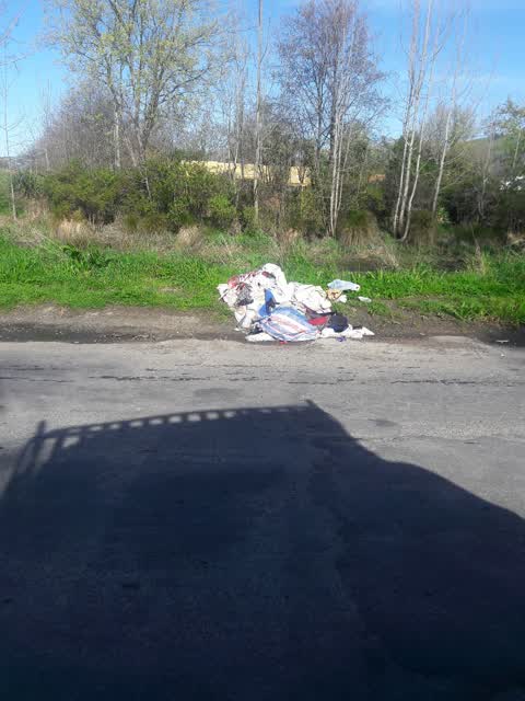 Rubbish/Recycling, a report photo