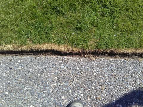 Roading/Streets, a report photo