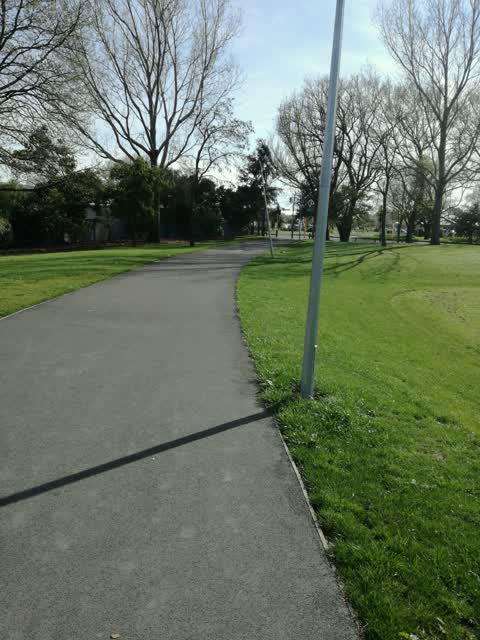 Parks — a report photo