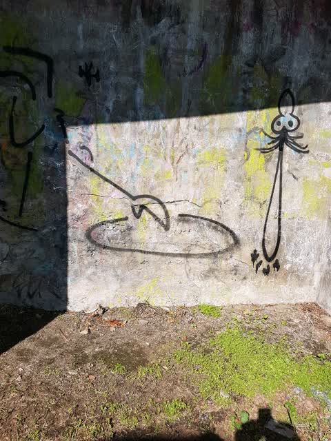 Graffiti, a report photo