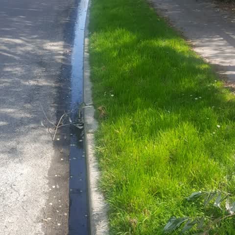 Water Supply, a report photo