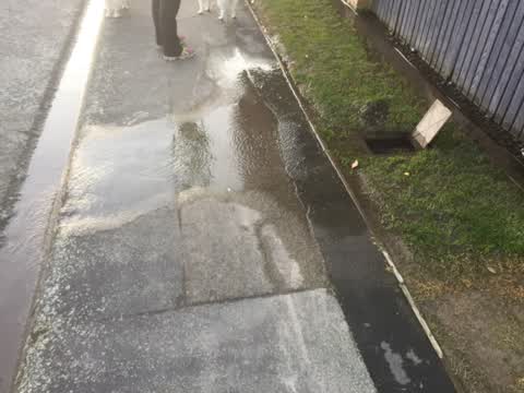 Water Supply, a report photo
