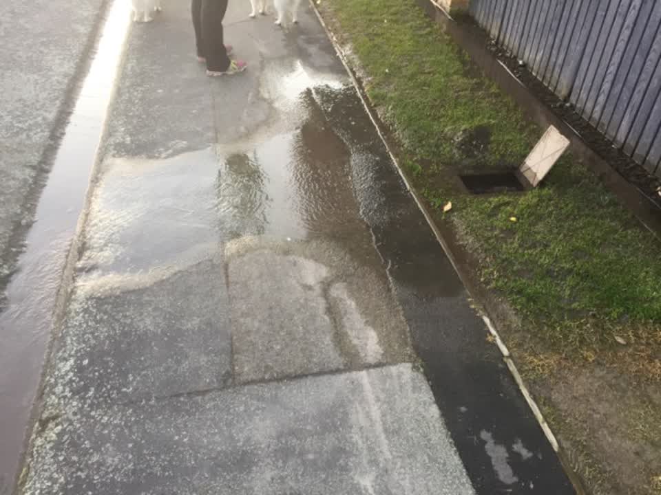 The photograph attached to this water supply report