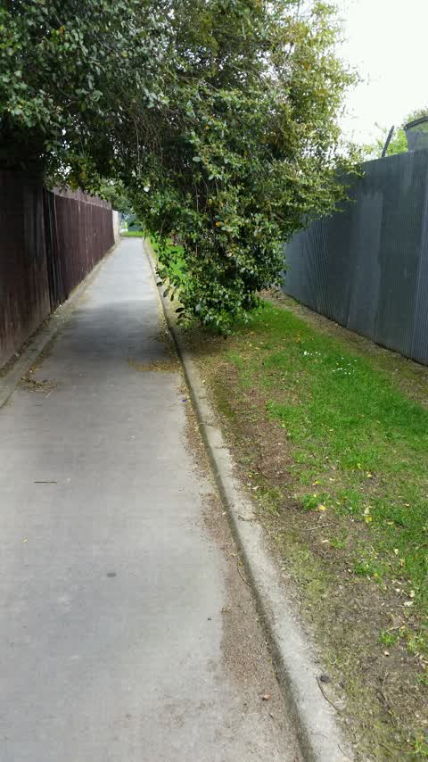 Parks, a report photo