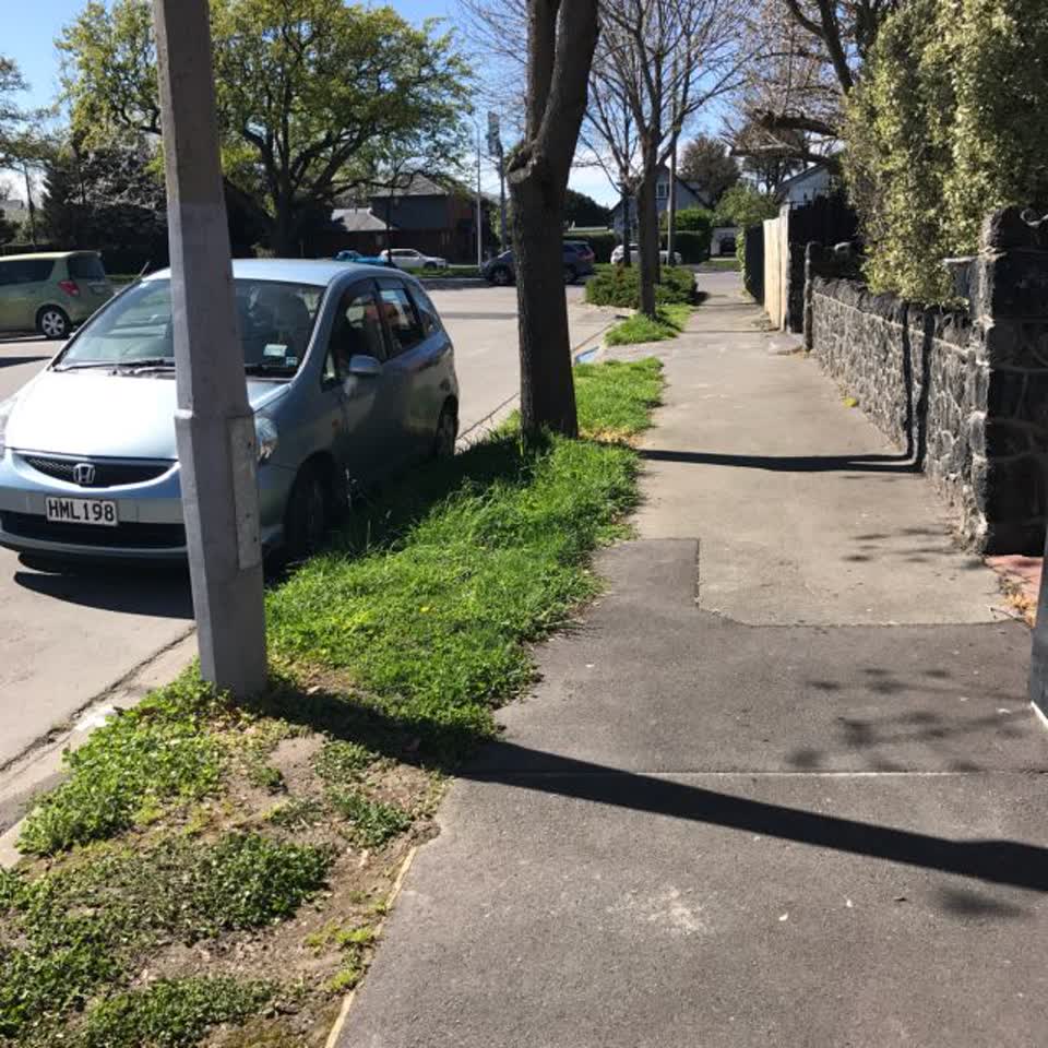 The photograph attached to this parks report