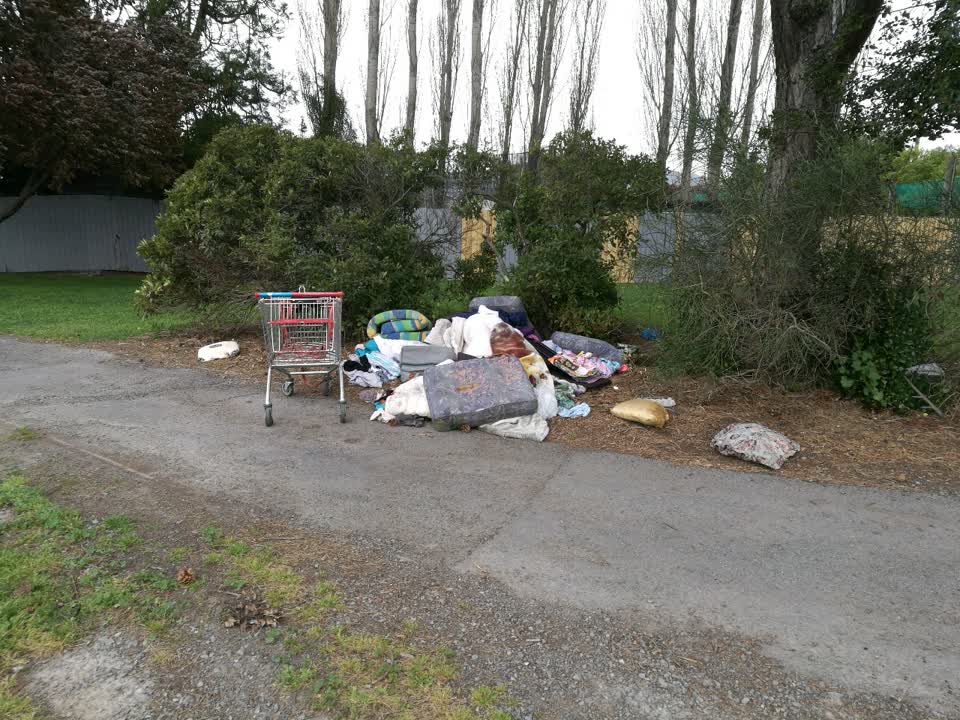 The photograph attached to this parks report