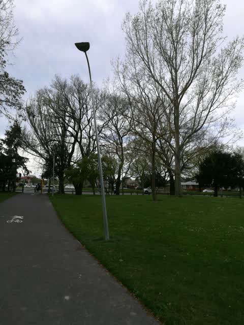 Parks — a report photo