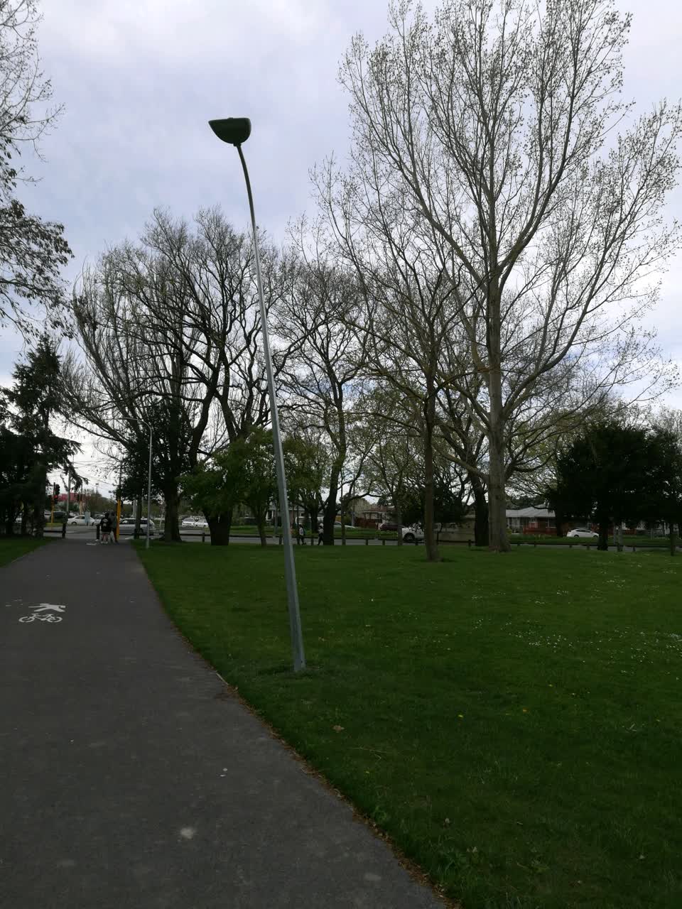The photograph attached to this parks report