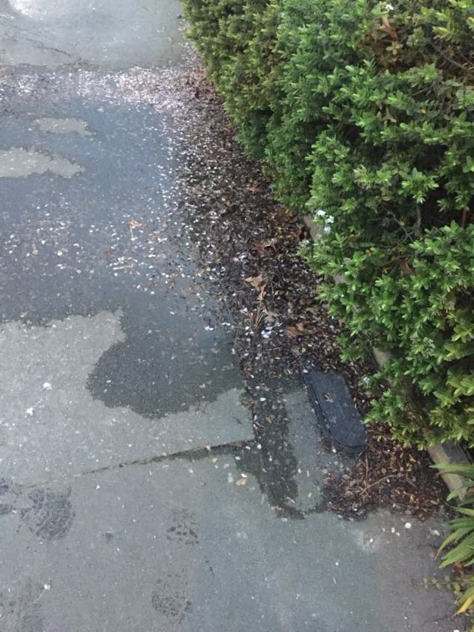 The photograph attached to this water supply report