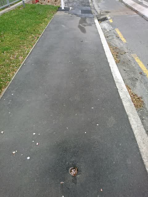 Roading/Streets — a report photo