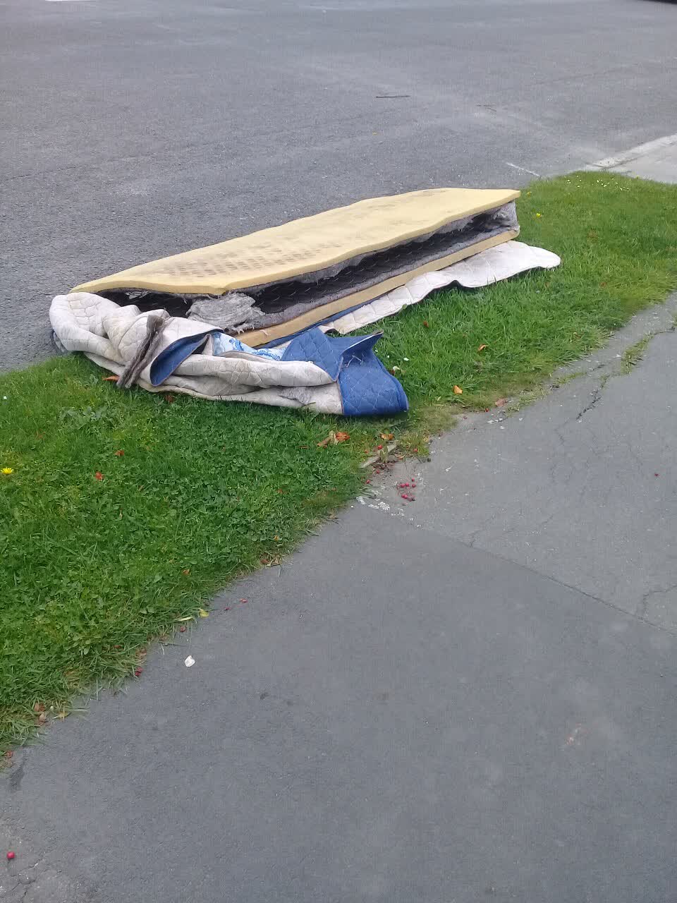 The photograph attached to this rubbish/recycling report