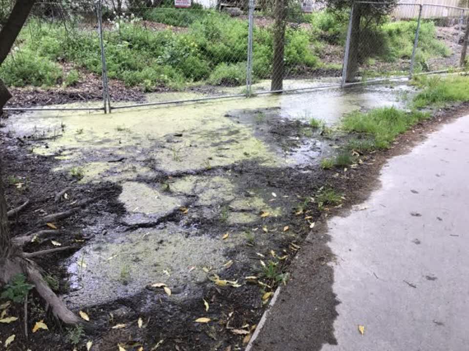 The photograph attached to this wastewater/stormwater report