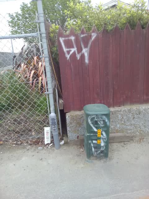 Graffiti, a report photo
