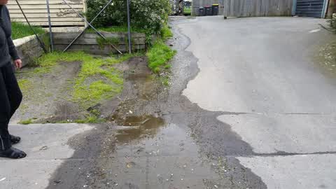 Water Supply, a report photo