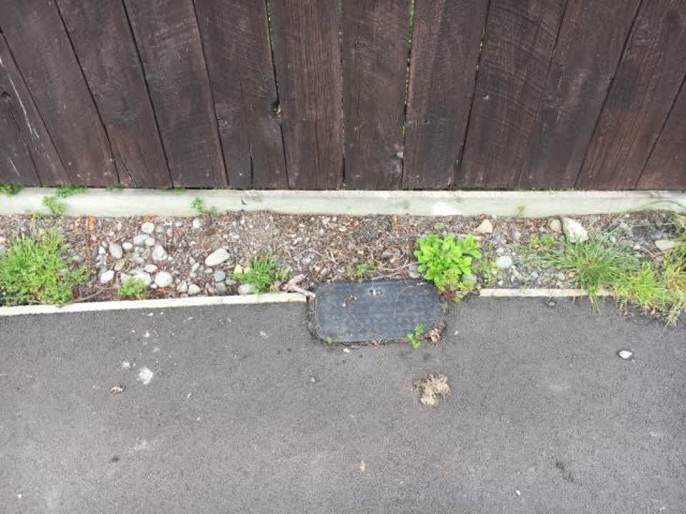 The photograph attached to this water supply report