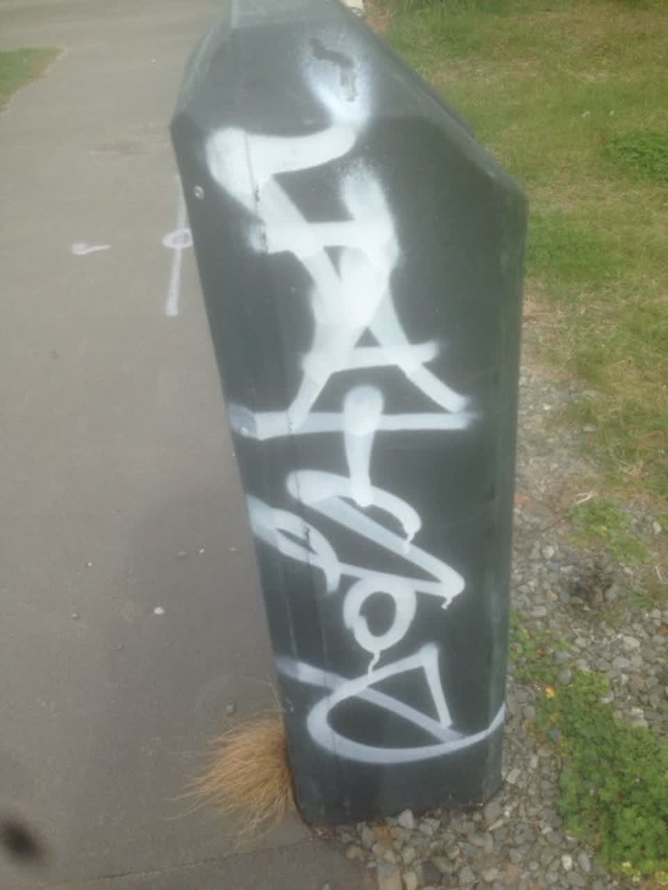 The photograph attached to this graffiti report