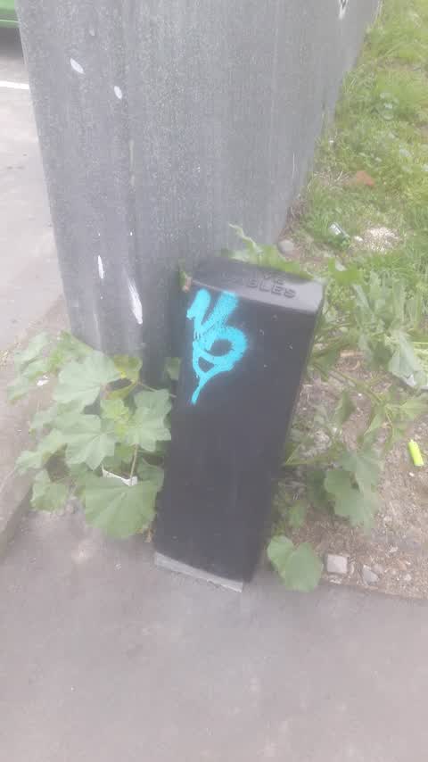 Graffiti, a report photo