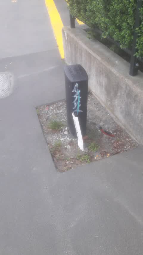 Graffiti, a report photo