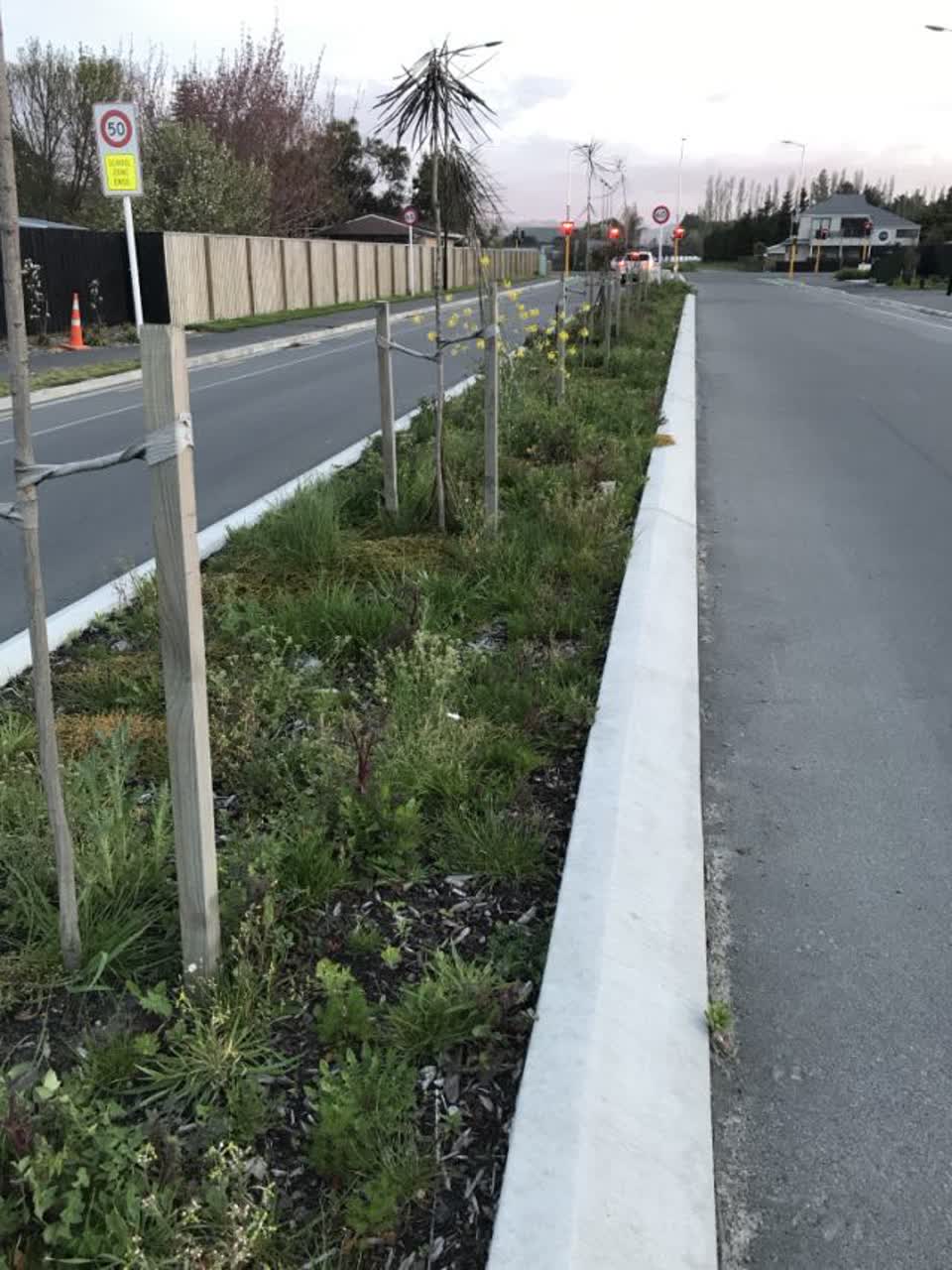 The photograph attached to this parks report