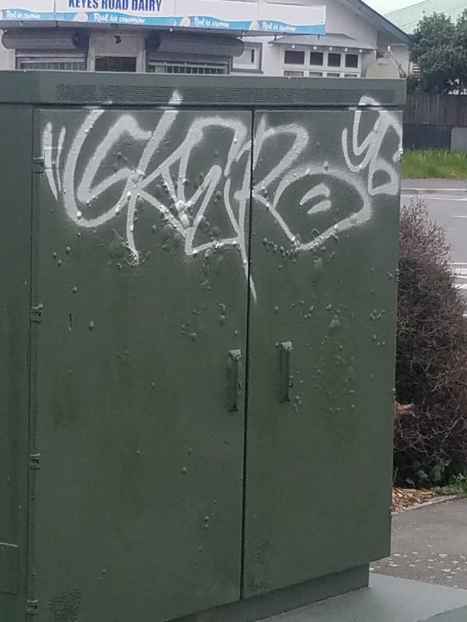 The photograph attached to this graffiti report