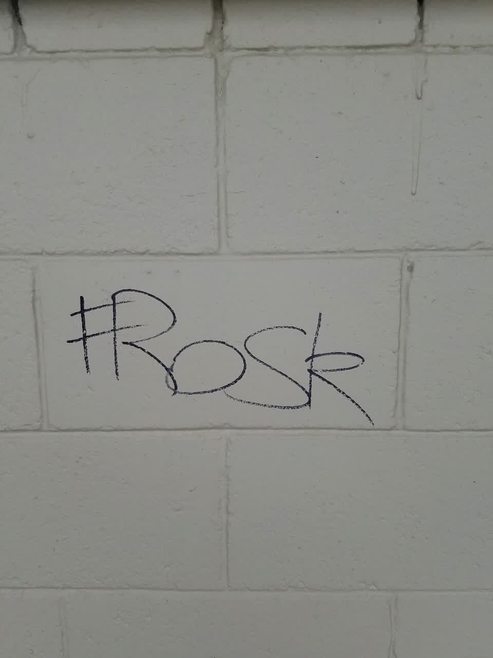 The photograph attached to this graffiti report
