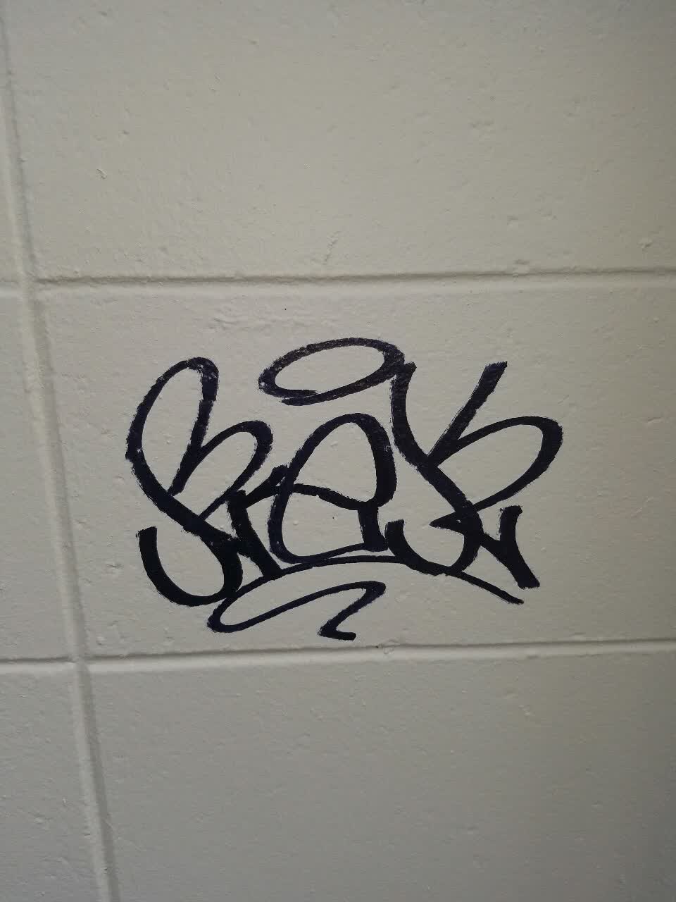 The photograph attached to this graffiti report