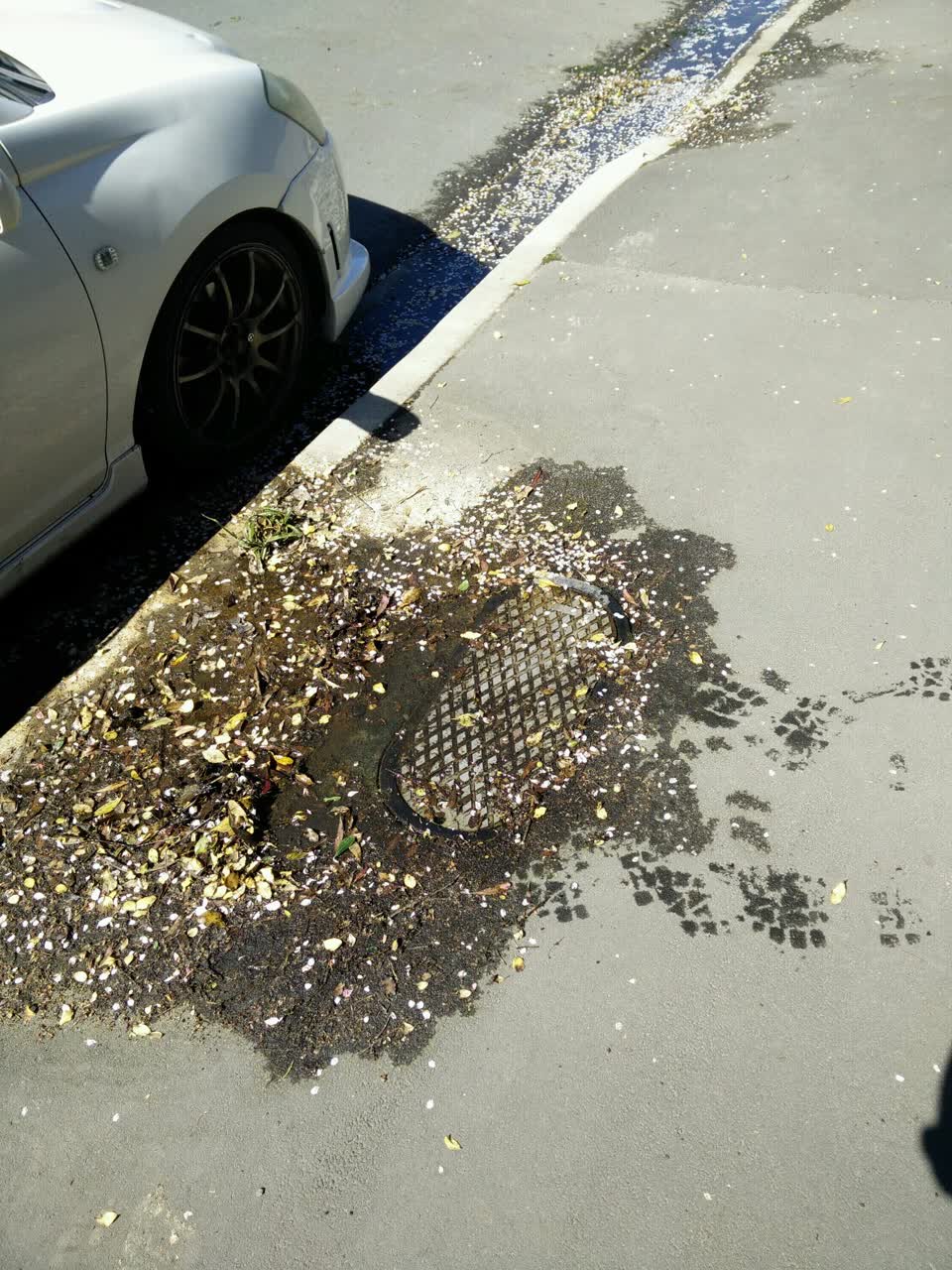 The photograph attached to this water supply report