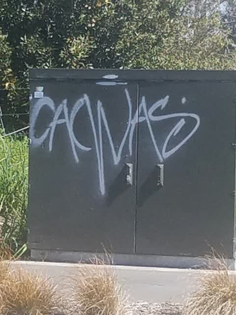 Graffiti — a report photo