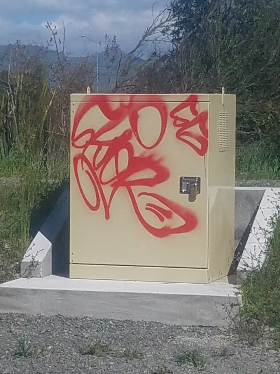 The photograph attached to this graffiti report