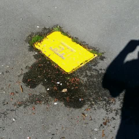 Wastewater/Stormwater, a report photo
