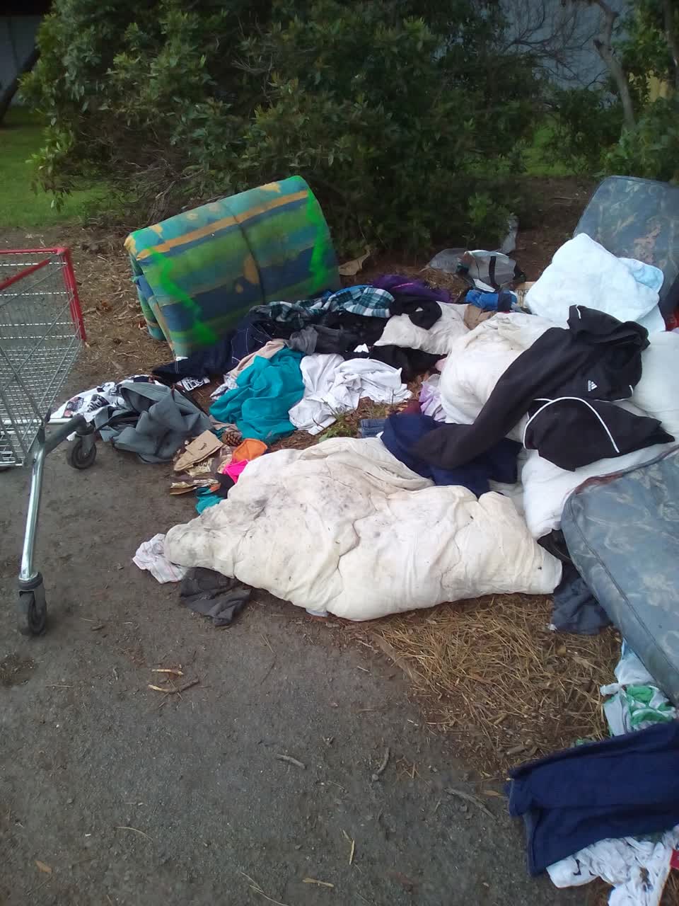 The photograph attached to this rubbish/recycling report