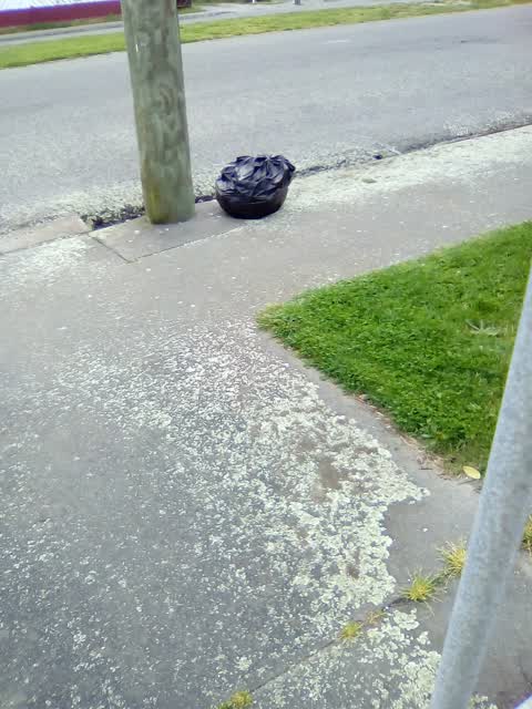 Rubbish/Recycling, a report photo