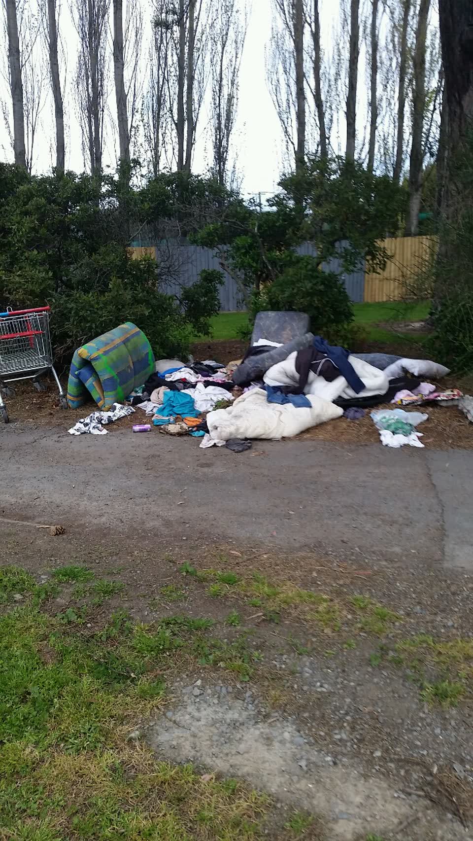 The photograph attached to this rubbish/recycling report