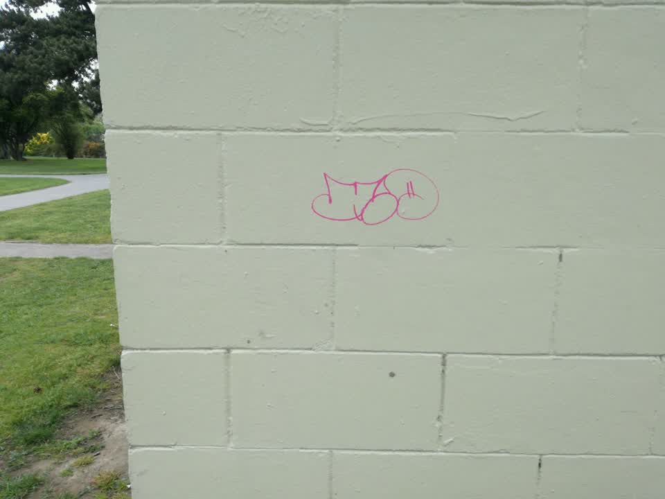 The photograph attached to this graffiti report